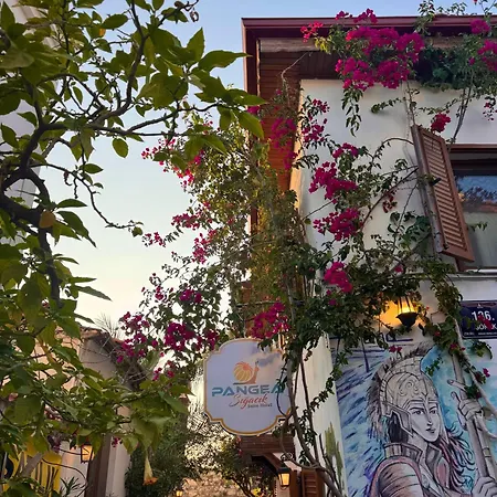 Quarto em Acomodações Particulares Pangea Sigacik & Bistro Seferihisar