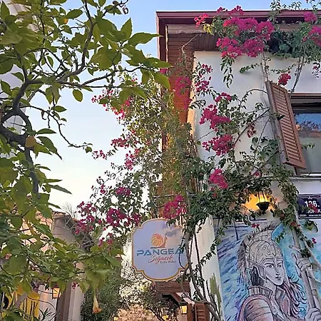 홈스테이 Pangea Sigacik & Bistro *