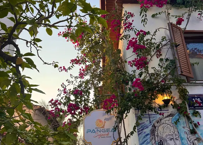 Homestay Pangea Sigacik & Bistro Seferihisar